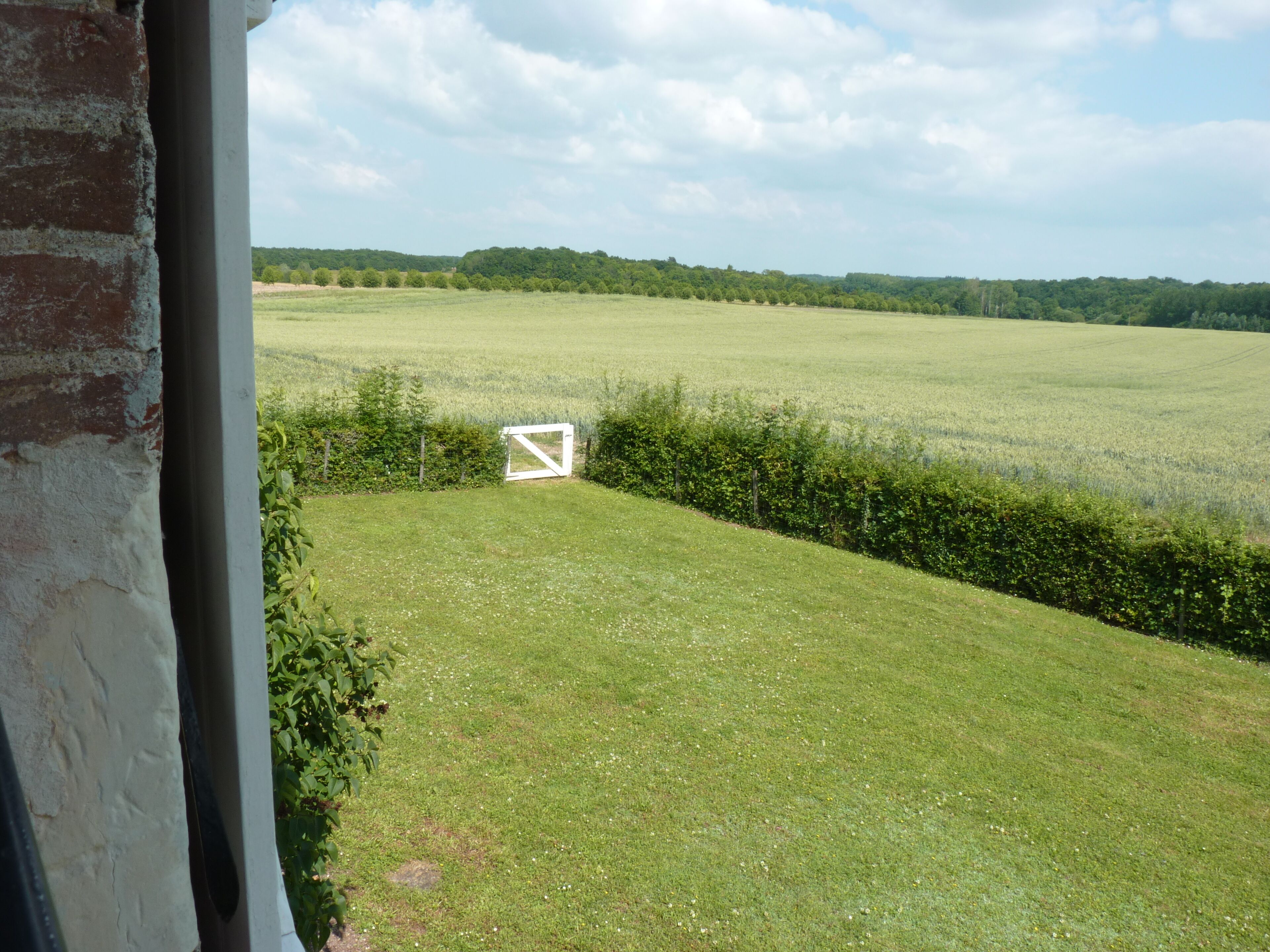 Vista de un campo cubierto de hierba con una puerta blanca y un seto.