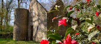 Gîte de Beauregard, in the heart of the castles of the Loire