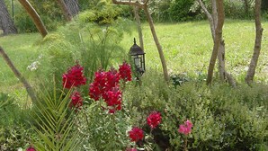 A garden with various plants and a lantern.