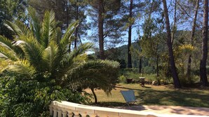 A garden with a palm tree, a chair, and a stone balustrade.