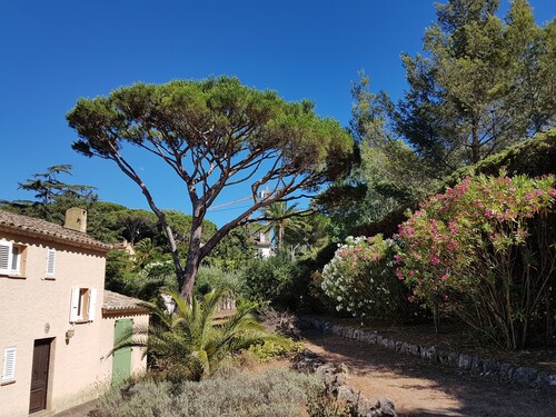 Villa dans Saint Tropez dans un grand parc les pieds dans l'eau