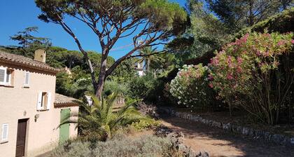 Villa dans Saint Tropez dans un grand parc les pieds dans l'eau