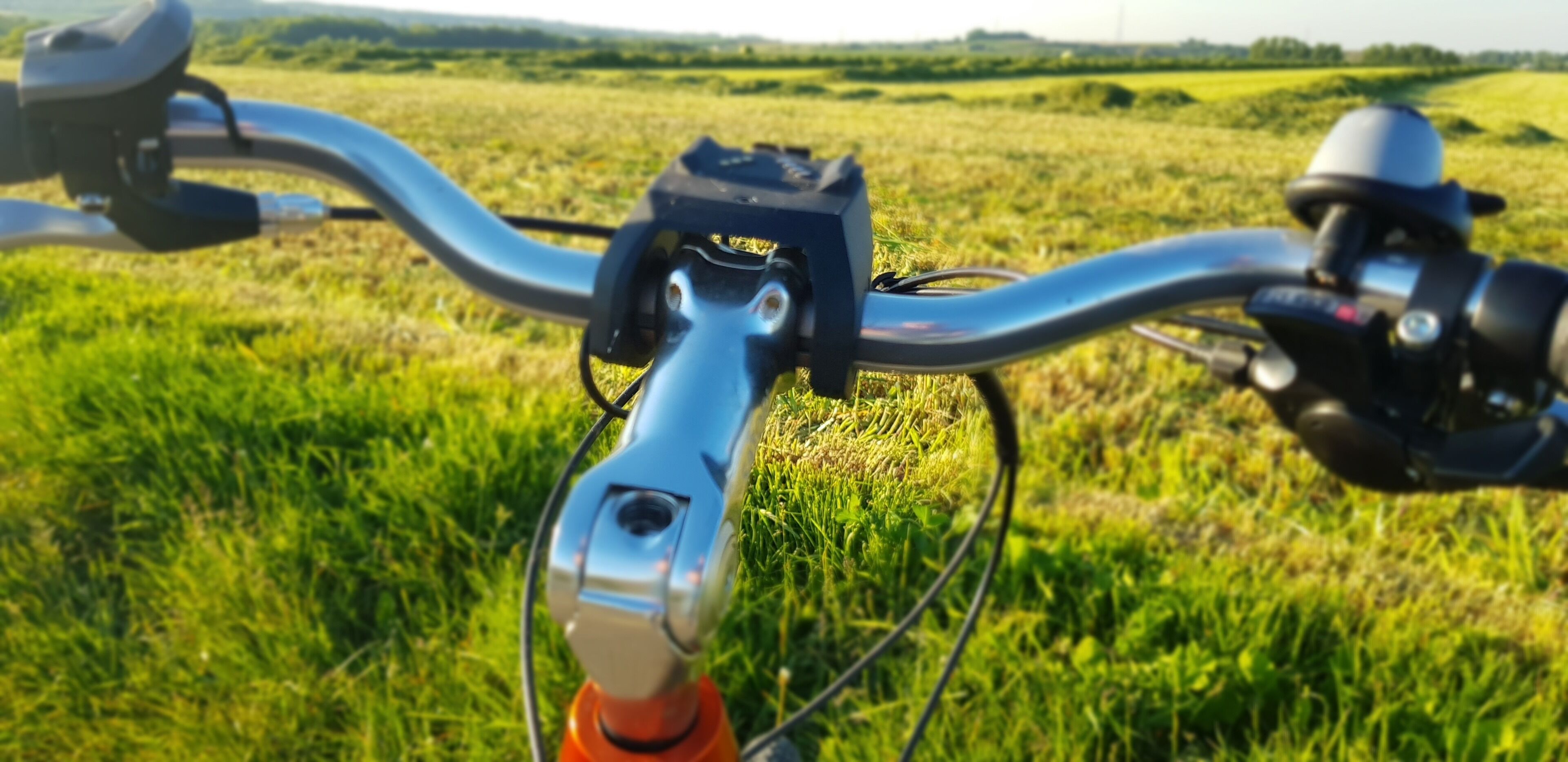 Le guidon et la roue avant d’un vélo, dans un champ d’herbe.