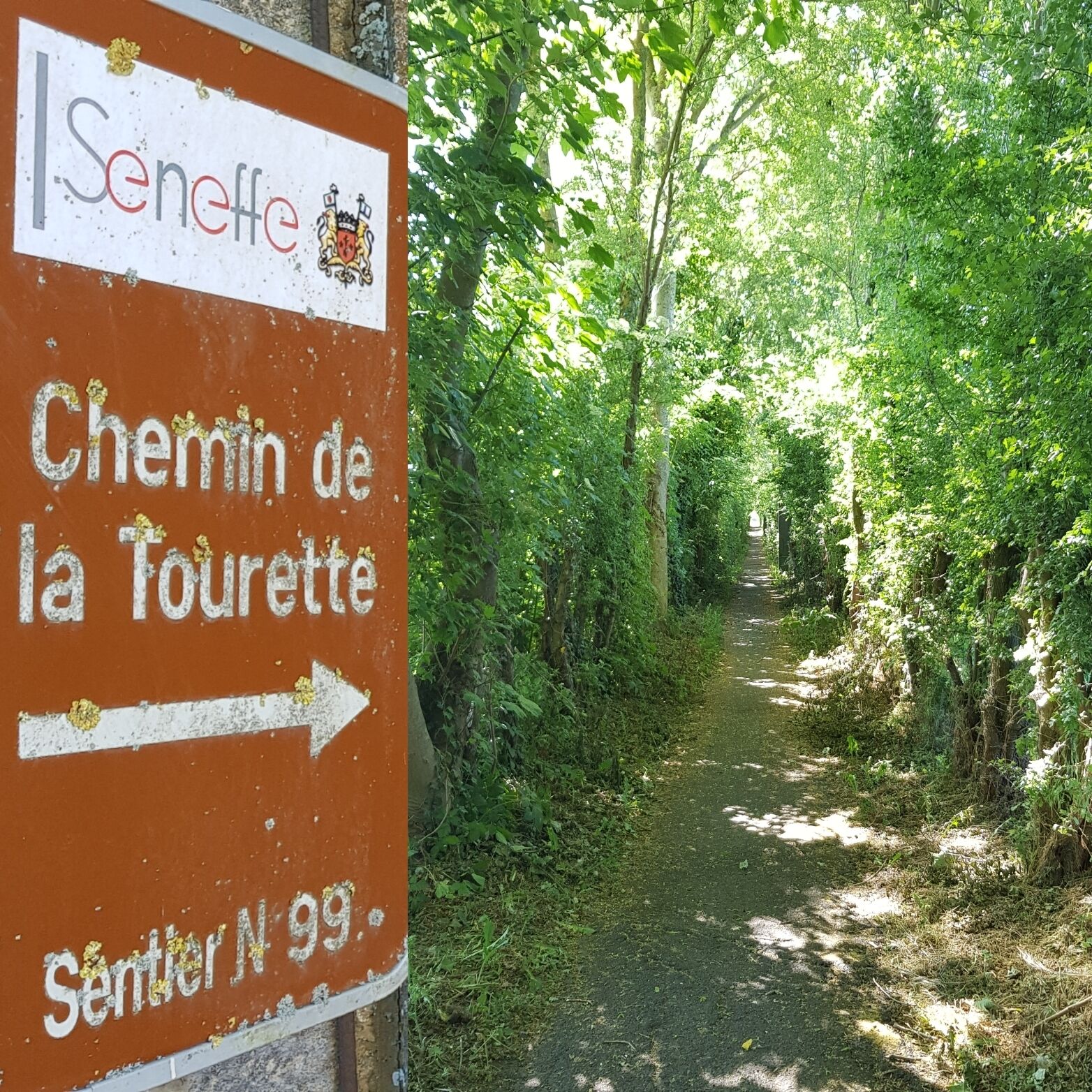 Un panneau indiquant un sentier appelé « Chemin de la Tourette », avec une flèche indiquant la direction.