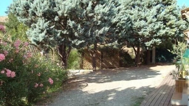 A gravel path flanked by evergreen trees and flowering plants in a garden setting. - Holidays in the center of Corsica (Corte)