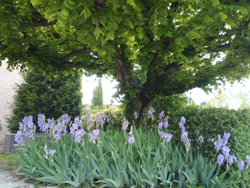 La Commanderie à Mormoiron - Gîte avec piscine- max. 11 pers.