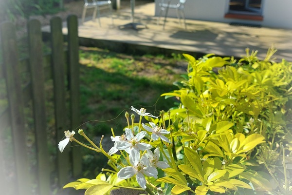 Speisen im Freien