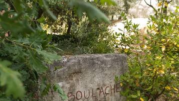 Parco della struttura