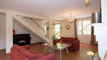 Télévision, cheminée, lecteur de DVD, livres