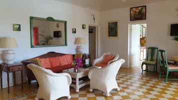 TV connectée, cheminée, livres, chaîne hi-fi