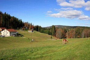 Golf - 4-star apartment in a modern chalet near Les Jouvencelles (Prémanon)