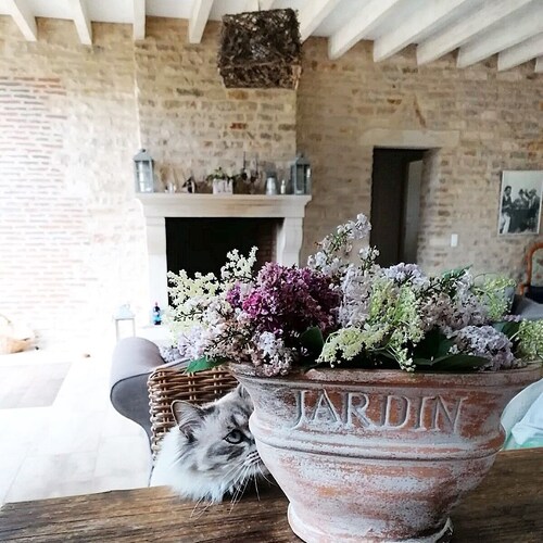 old winemaker's house