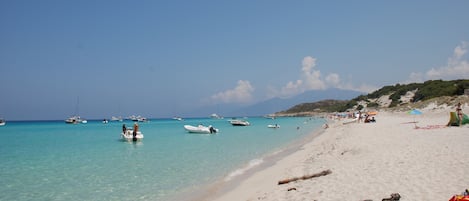 在海滩