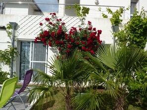 Detalle del exterior