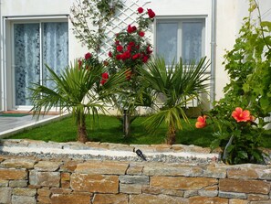 Detalle del exterior