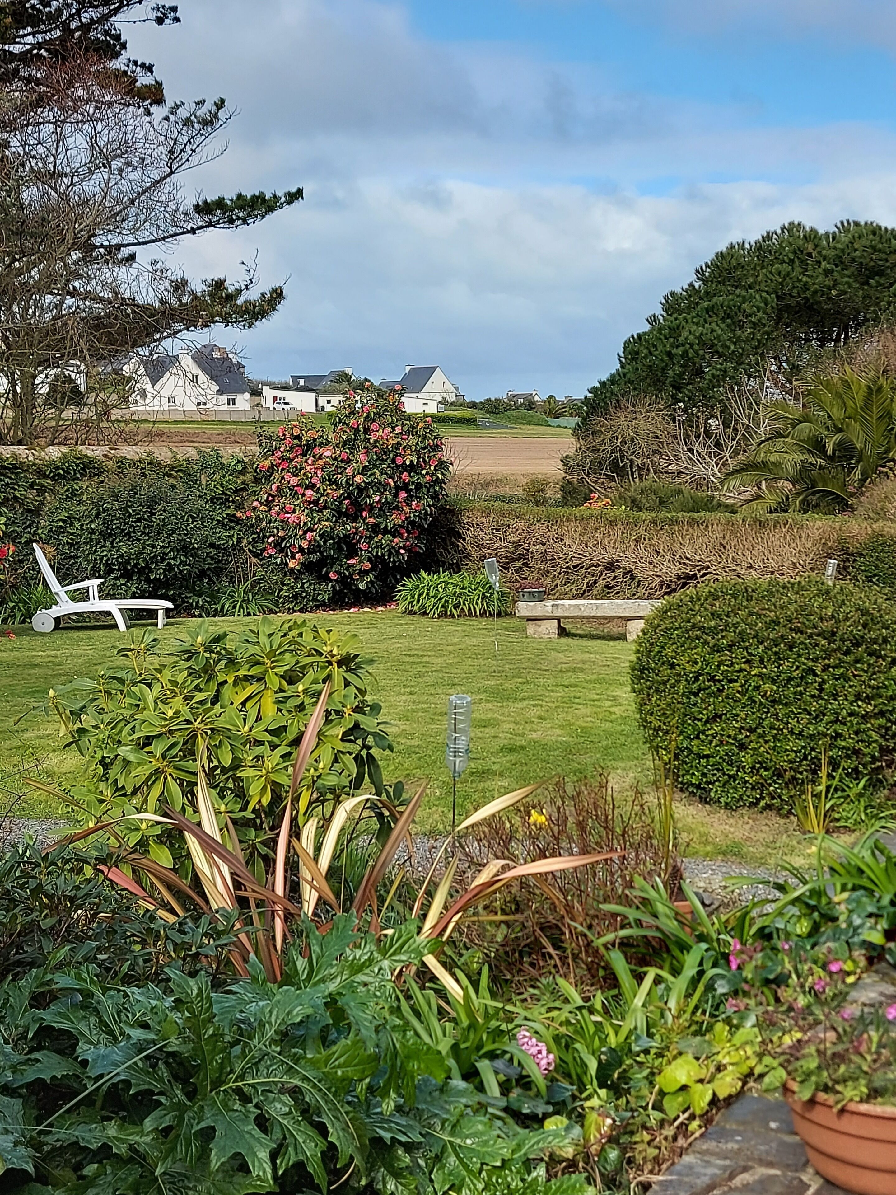 A well-maintained garden with a lawn, various plants, and a bench.