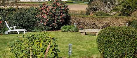 A well-maintained garden with a lawn, various plants, and a bench.