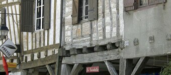 A wooden chalet in the heart of purple Perigord