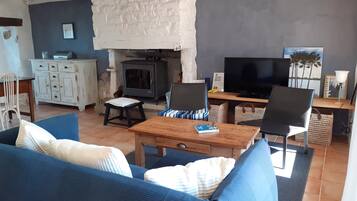 Een televisie, een open haard, een dvd-speler en boeken