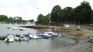 Uma marina com vários barcos atracados, uma praia de areia e árvores ao fundo.