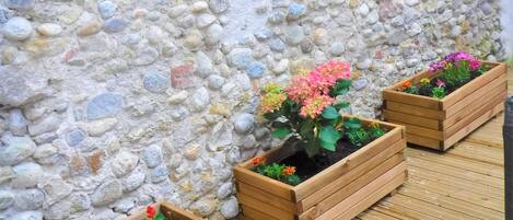 Áreas de la propiedad