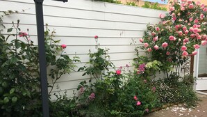 A garden with various plants and flowers, including roses, against a white wooden wall. - Charming new house in downtown Les Sables D¥Olonne  (Les Sables d'Olonne)
