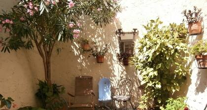 Nice spacious village house and sunny downtown