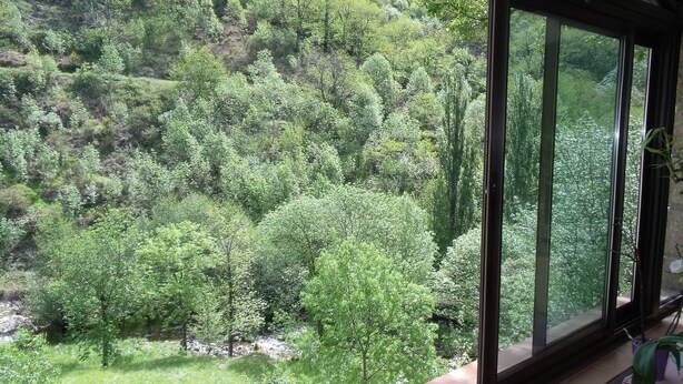 Una habitación con un ventanal que ofrece vistas a una exuberante ladera cubierta de bosque.