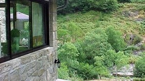 Un edificio de piedra con una ventana y una puerta, rodeado de abundante follaje verde.