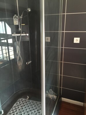 Shower, hair dryer, towels, toilet paper