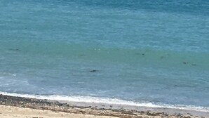 Um veleiro em um mar calmo sob céus claros.