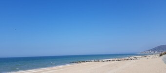 Cabourg - Mukava huoneisto 1 / 6pers WIFI RDJ: ssä terassilla 100m rannalla