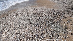 A pebbly beach with a clear sky and calm sea. - Cabourg - Comfortable apartment 1 / 6pers WIFI in RDJ with terrace 100m beach (Cabourg)
