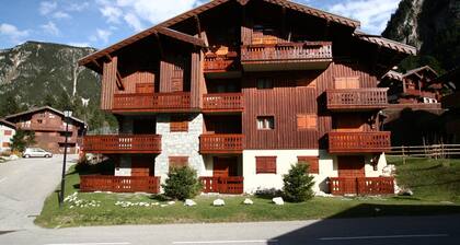 Apartment in the Mountain In The Vanoise Park