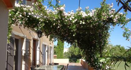 Belle Bastide Provençale, grand jardin entre vignes et village, proche Avignon