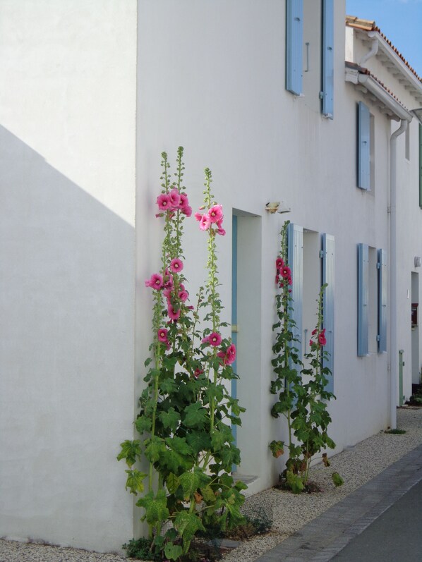 Detalle del exterior