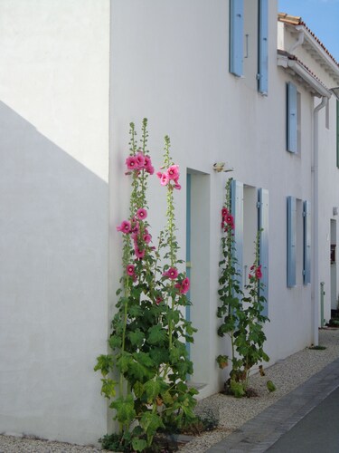 Jolie maison classée 3*** style rétais