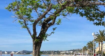 Exceptional SEA VIEW - 2 rooms in Marina Baie des Anges - Nice / Côte d'Azur