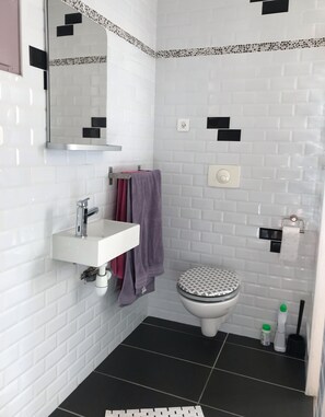 Combined shower/tub, hair dryer, towels, soap