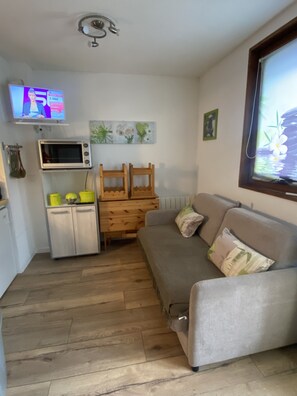 Flatscreentelevisie en een dvd-speler