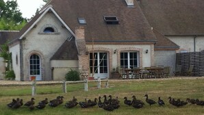 Un bâtiment à la façade en briques et au toit en pente, entouré d’une zone herbeuse où l’on peut voir des canards.