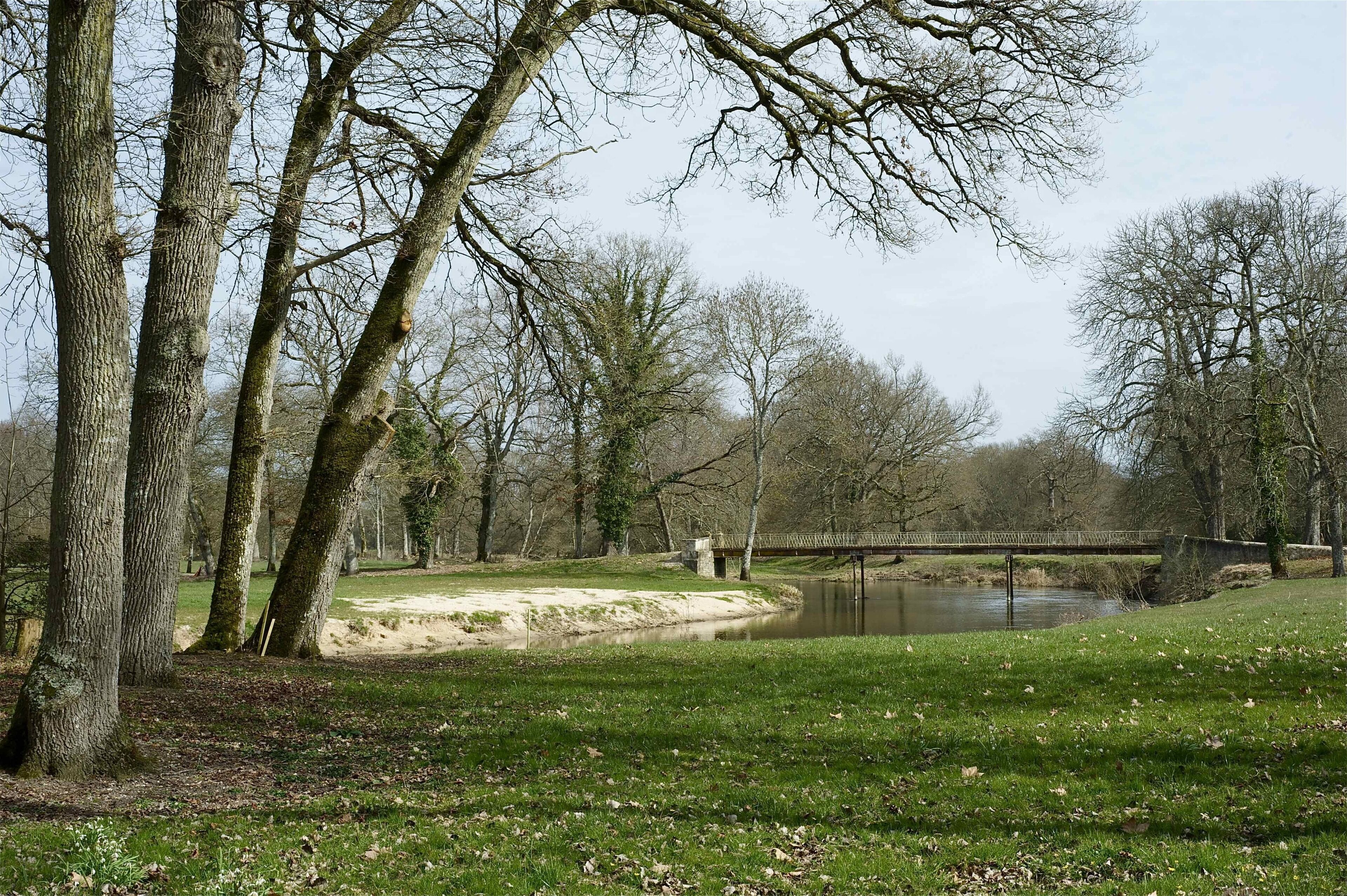 Un parc avec un étang, un pont en bois et des arbres.