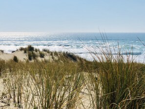 A beach with sand dunes and grass in the foreground, leading to the ocean. - Large charming cabin (Lège-Cap-Ferret)