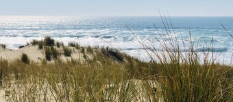 Stor sjarmerende hytte