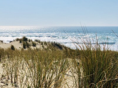 Large charming cabin