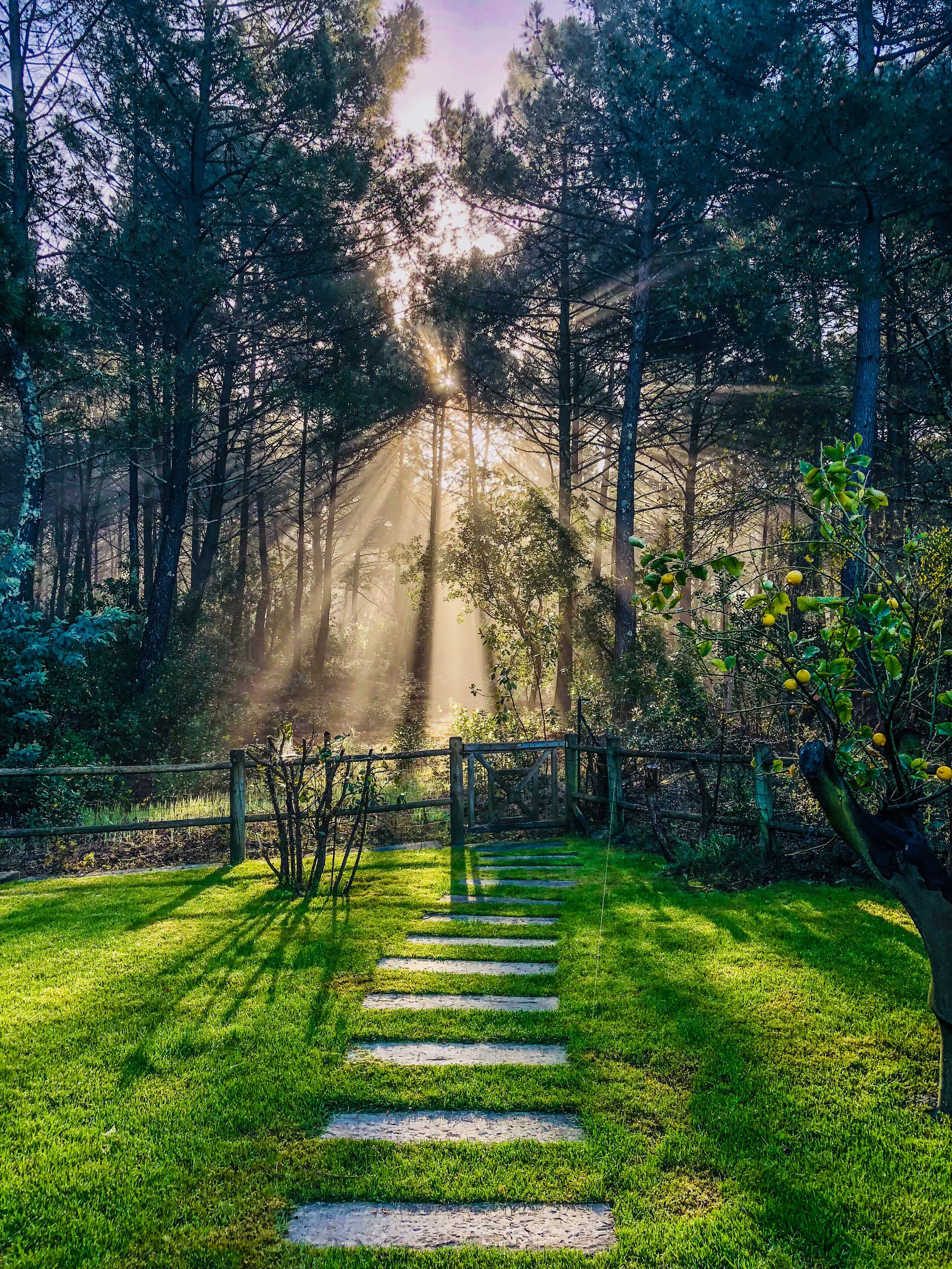 Enceinte de l’hébergement