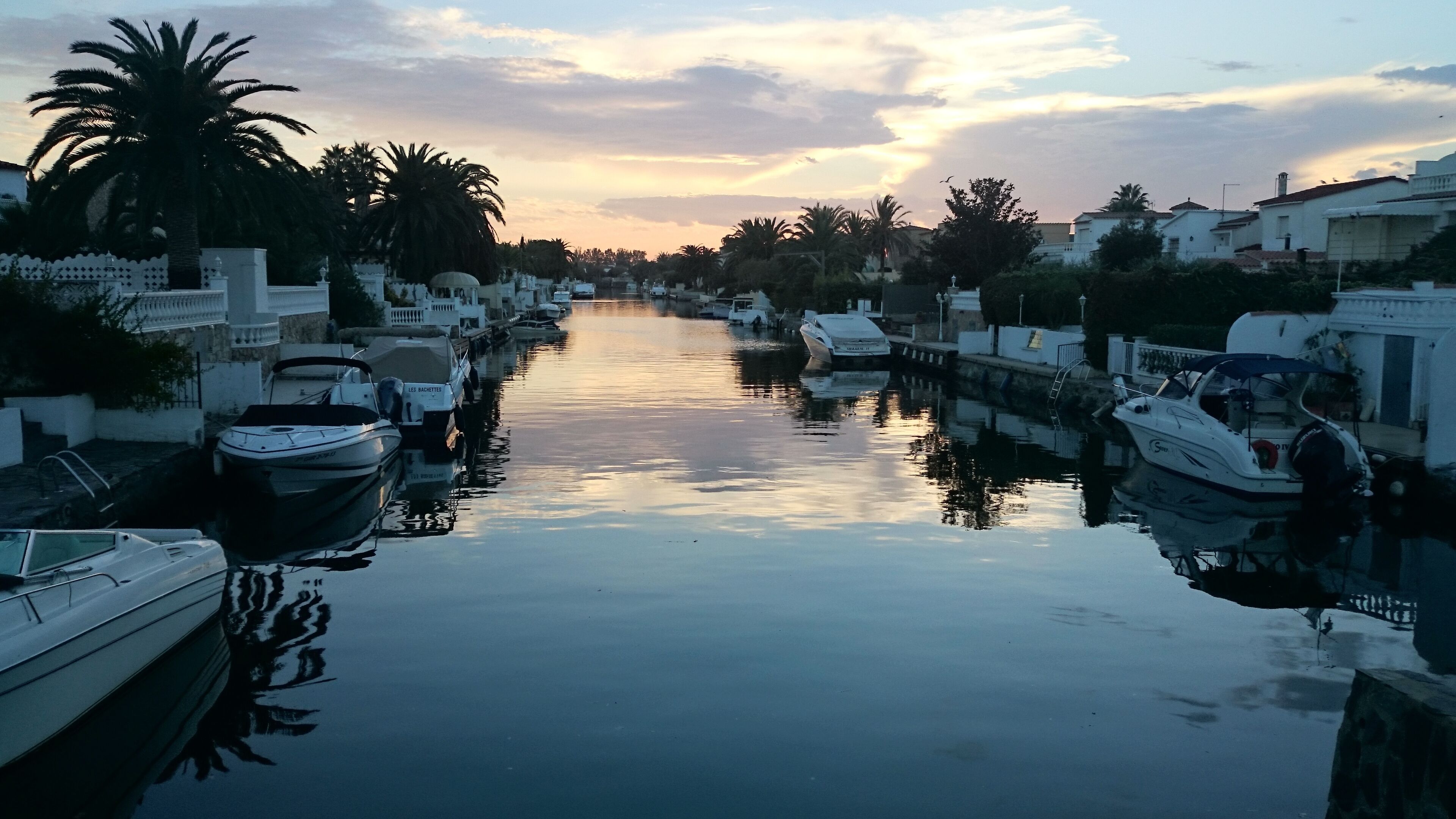 Un canal bordeado de barcos y palmeras, reflejando el atardecer.