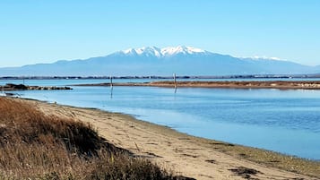 在海灘附近