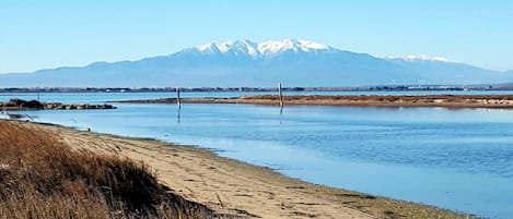 Beach nearby