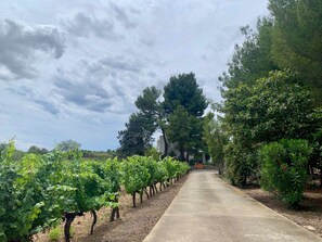 Property grounds - The Zen villa, sun and idleness (Pinet)